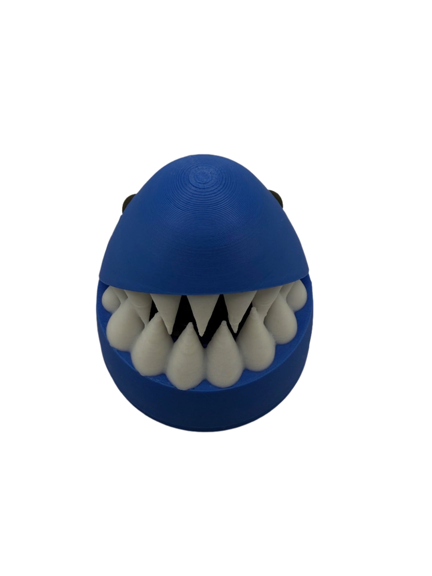 Shark Fizzer